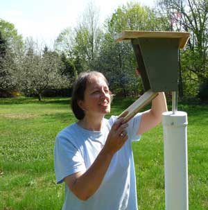 Bet Zimmerman monitoring a nestbox