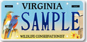 VA license plate bluebird