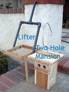 Linda Violett's Two-Hole Mansion with lifter