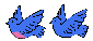 Bluebirds
