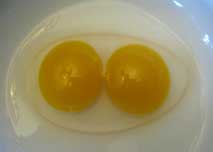 double yolk duck egg