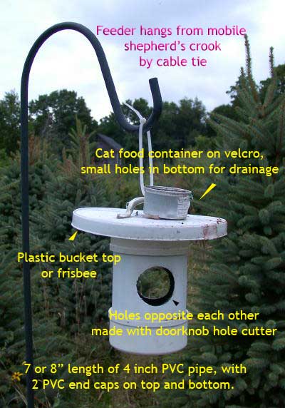 Simple mealworm feeder.  Photo by Bet Zimmerman