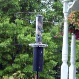 Magic halo on tube feeder