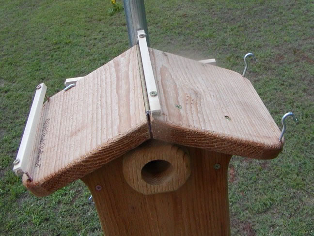Top of nestbox showing modifications