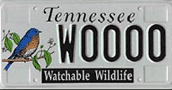 Tennessee bluebird license plate