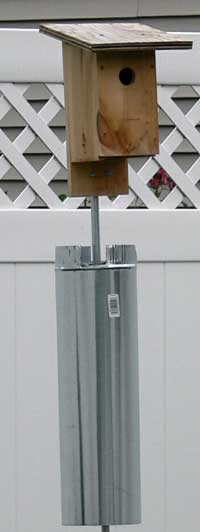 Raccoon Baffle for nestboxes (Predator Guard)
