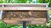 Tufted Titmouse nest in Zuern box, Bet Zimmerman photo