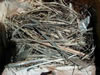 Nest Western Bluebird nest.  Linda Violett photo