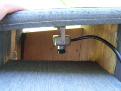 A nestcam mounted on the interior roof of the nestbox. The cord goes through the side ventilation slot and connects to a computer or TV.