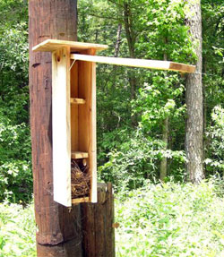 Nestbox for flying squirrels. Keith Kridler photo
