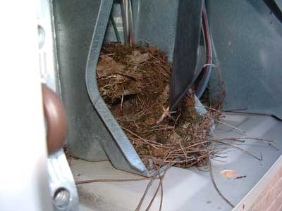 Titmouse nest in fan. Photo by Chris Asmann.