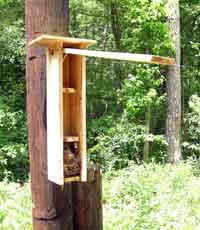 Nestbox Keith Krider for Flying Squirrels