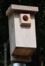 wooden block over hole to protect from enlargement by squirrels etc. Sorry, I forgot who sent me this picture!