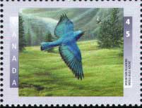 Mountain bluebird on Canadian stamp 1997
