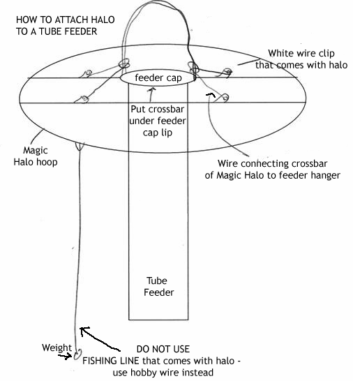 How to attach magic halo to tube feeder. Drawing by Bet ZImmerman