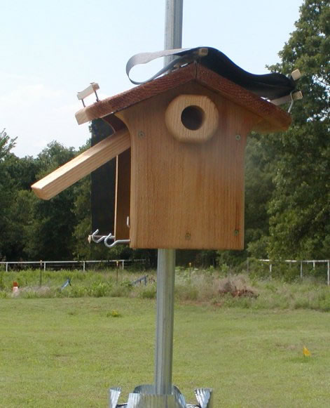 Nestbox open for check