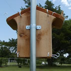 Hardware view, back of box (54kb)