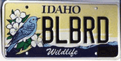 Idaho Bluebird license plates