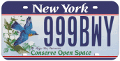 New York bluebird license plate