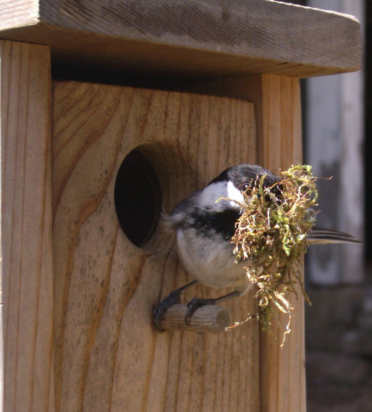 Mouthful. Photo by Bet Zimmerman.