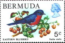 Bermuda 5 cent stamp, EABL, 1972