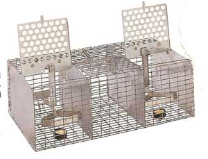 ST-1 wire sparrow trap PMCA