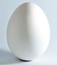 chicken egg. Wikimedia Commons photo.