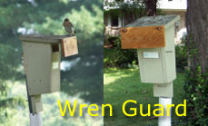Wren Guard, side and front view. Photo by Loren Hughes, on a Hughes Slot Box.