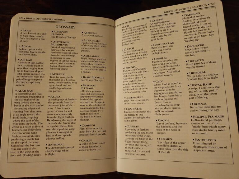 Glossary. Photo by Bet Zimmerman Smith