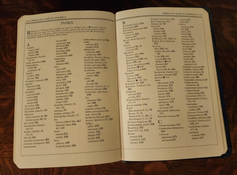 Index. Photo by Bet Zimmerman Smith