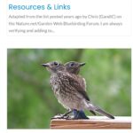 Reinventing Sialis.org