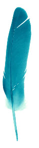 Blue Feather