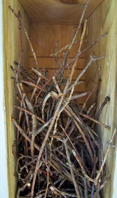 House Wren dummy nest. Photo by Bet Zimmerman Smith