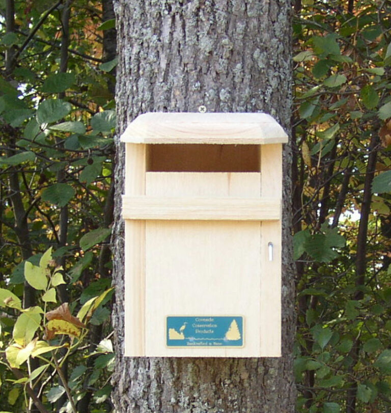 slot boxes are NOT sparrow resistant