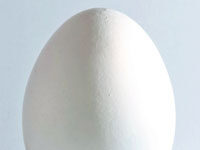 Supplementing Calcium: Feeding Crushed Chicken Eggshells, etc. to Birds